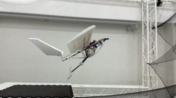 RAVEN: el dron inspirado en aves que revoluciona la tecnología 
