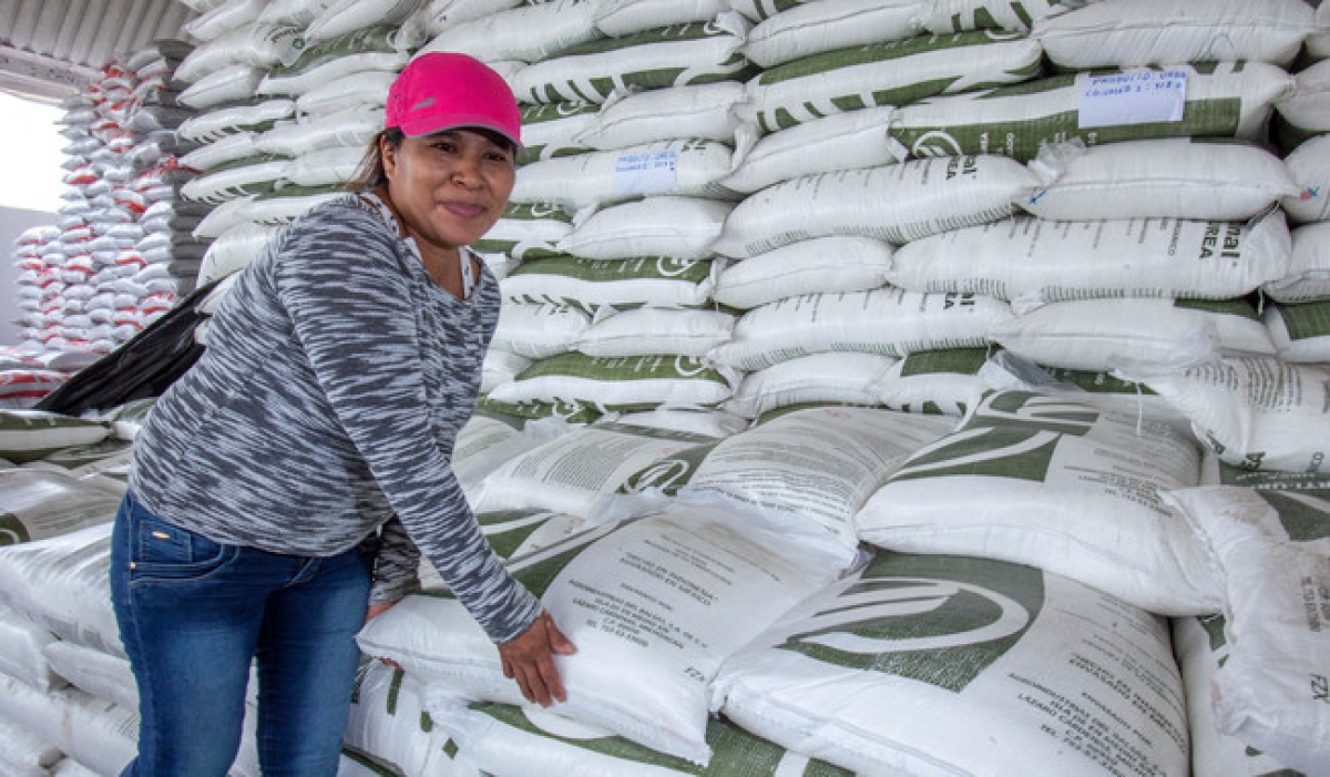Fertilizantes para el Bienestar: 62 mil productores beneficiados en 2024
