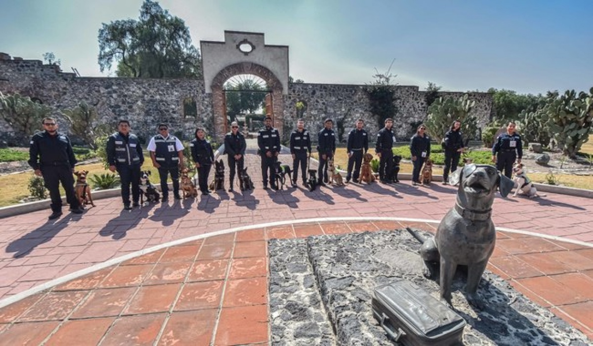 Senasica incorpora 13 nuevos inspectores caninos para fortalecer la seguridad agroalimentaria