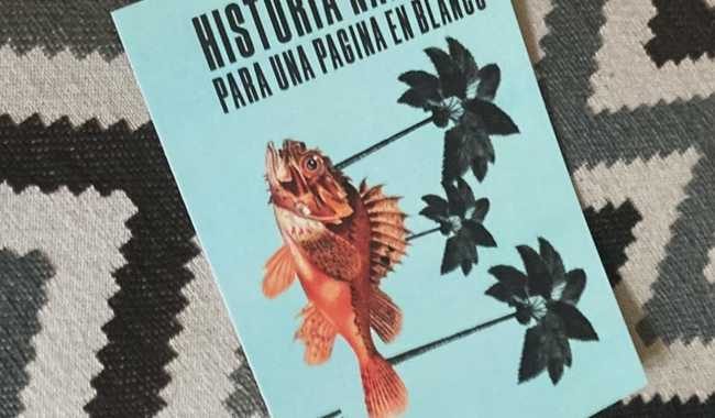 Presentan