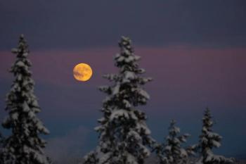 La Luna del Lobo iluminará el cielo este 13 de enero