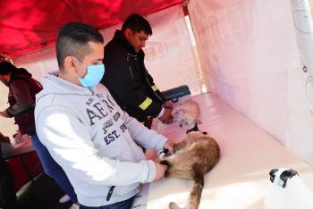 Casa por Casa continúa atendiendo las necesidades ciudadanas en la colonia Tacuba