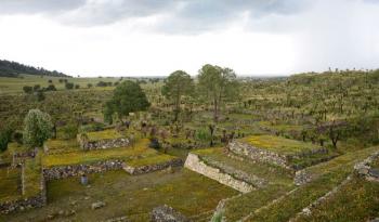 Celebran 30 años de la zona arqueológica de Cantona con programa especial "Piedra y memoria"