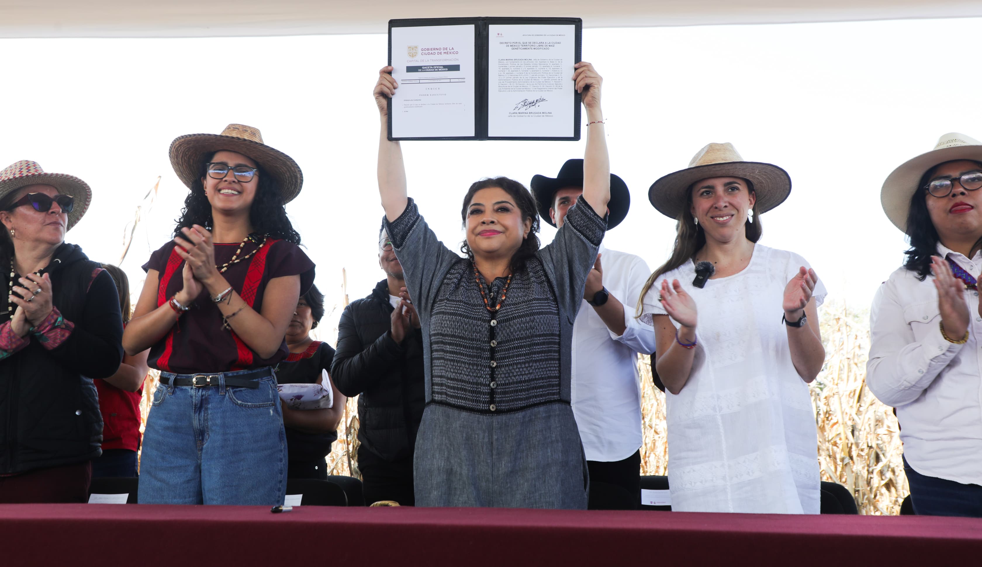 Declara jefa de Gobierno Clara Brugada a Ciudad de México territorio libre de maíz transgénico