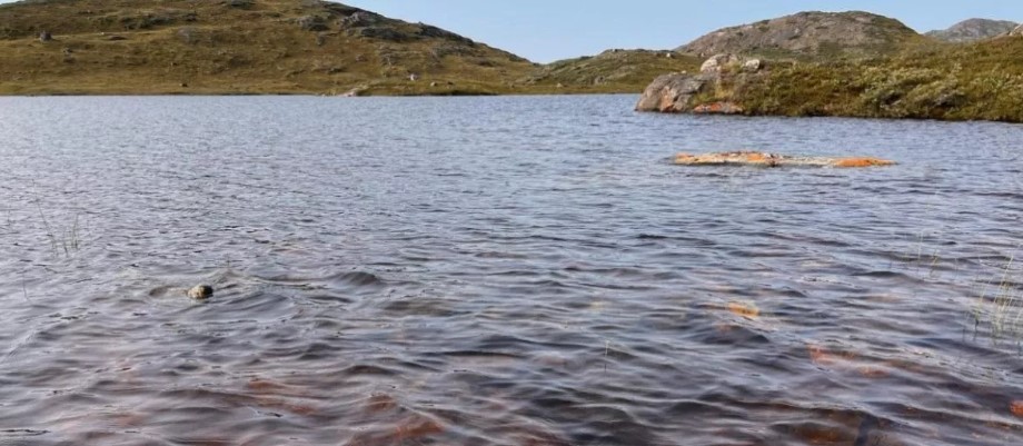 El calentamiento global transforma miles de lagos en Groenlandia en fuentes de carbono