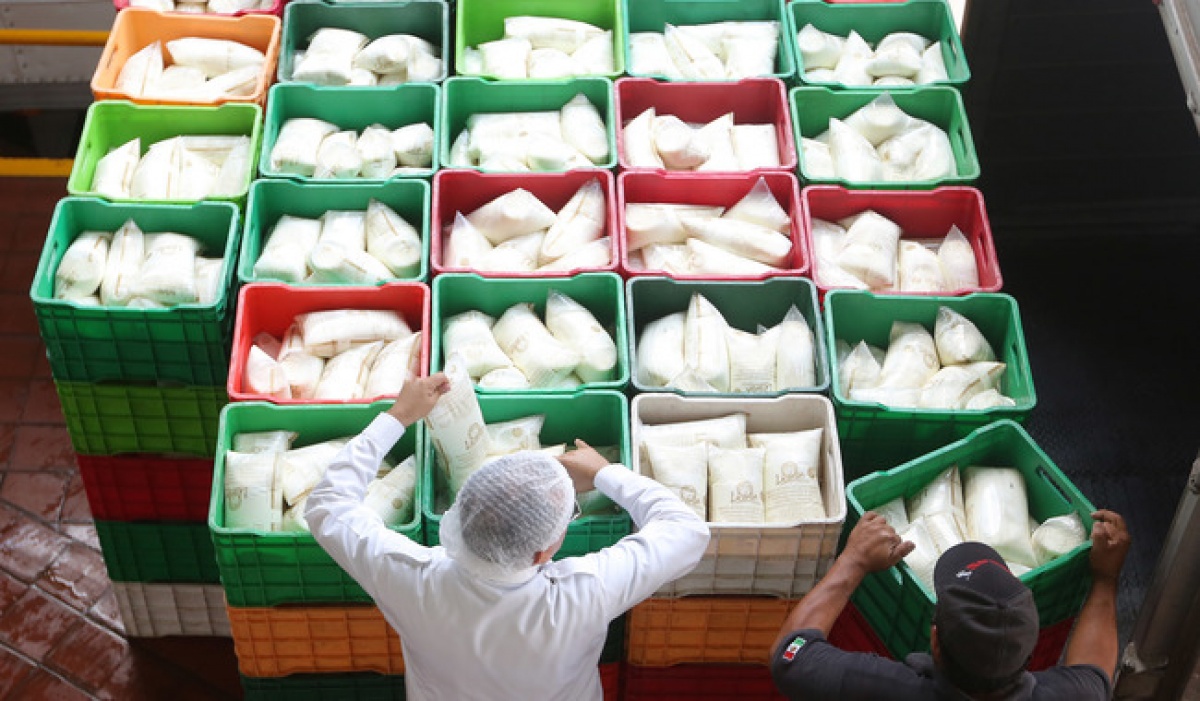 Publican reglas 2025 del Programa de Abasto Social de Leche para familias vulnerables