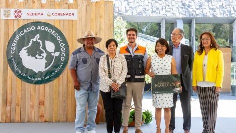 SEDEMA invita a comprar tulipanes cultivados en el suelo de conservación de CDMX
