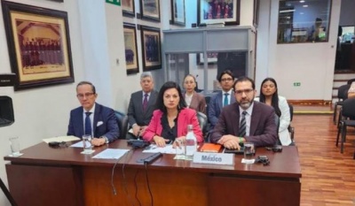 México reconoce responsabilidad internacional en el caso Ernestina Ascencio ante la Corte IDH