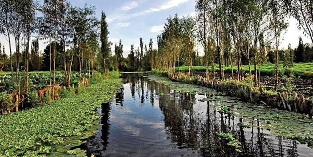 Humedales de la CDMX: claves para la biodiversidad y el agua