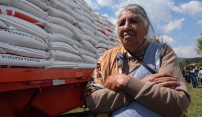 Fertilizantes para el Bienestar: un derecho constitucional para impulsar la producción agrícola en Michoacán