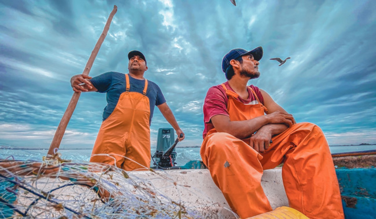 Actualizan la Carta Nacional Pesquera con información de 10 especies marinas
