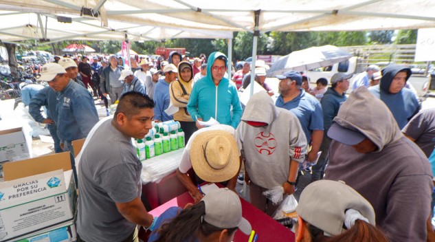 CDMX fortalece la producción de romeritos en Mixquic con más insumos y mejor suministro de agua