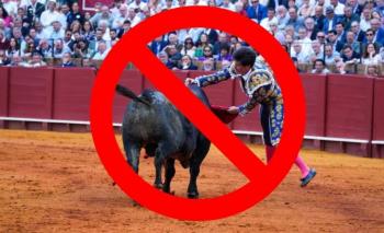 CDMX prohíbe la violencia en las corridas de toros para proteger el bienestar animal
