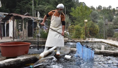 México declara territorio libre de enfermedades virales en trucha de cultivo