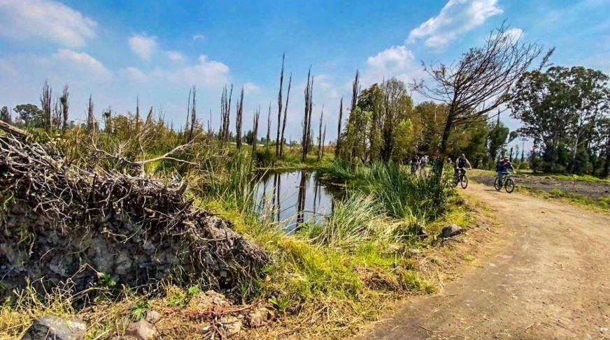 Recuperan 32.97 hectáreas invadidas en Tláhuac para restauración ecológica