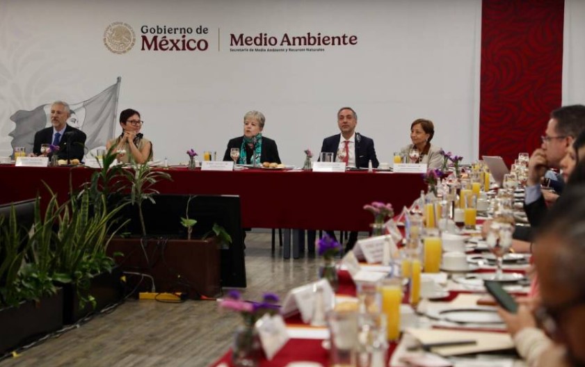 Semarnat urge restauración ambiental integral en zona afectada por el Tren Maya