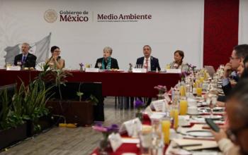 Semarnat urge restauración ambiental integral en zona afectada por el Tren Maya