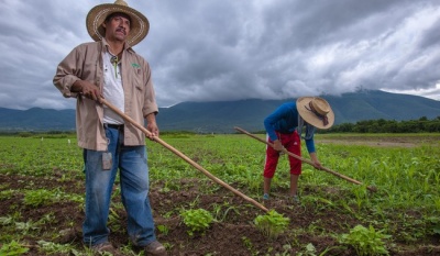 Arranca pago de producción para el bienestar con apoyo a más de 1.8 millones de productores