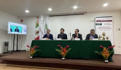 Impulsan soberanía alimentaria con mejora en cultivos de maíz y frijol