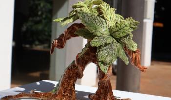 La tallera presenta "nos toca ser el asteroide", arte colectivo por los ecosistemas de Cuernavaca
