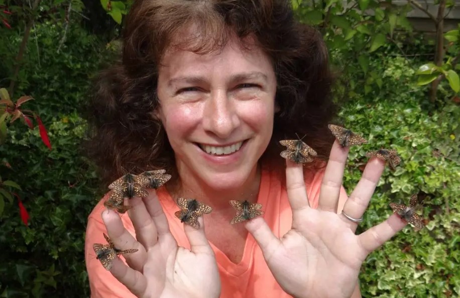 Camille Parmesan gana el Premio Fronteras del Conocimiento por revelar cómo el cambio climático desplaza a las especies