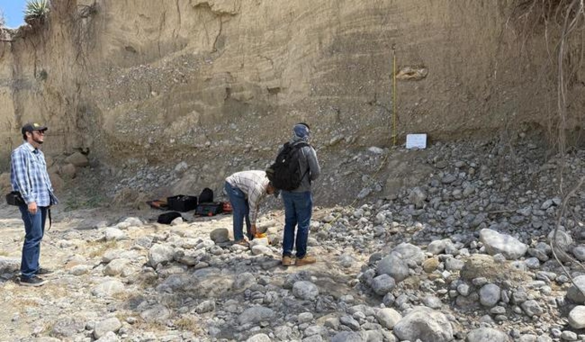 Recuperan restos de megafauna del Pleistoceno en Tula, Tamaulipas