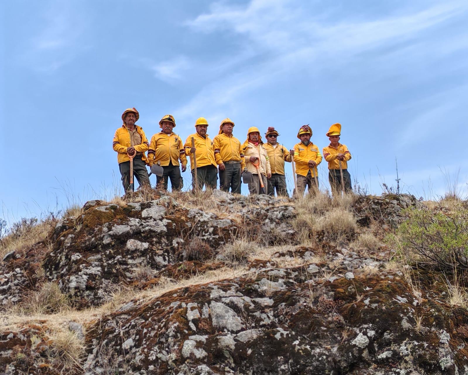 Brigadistas protegen el suelo de conservación en CDMX y combaten más de 570 incendios en 2025
