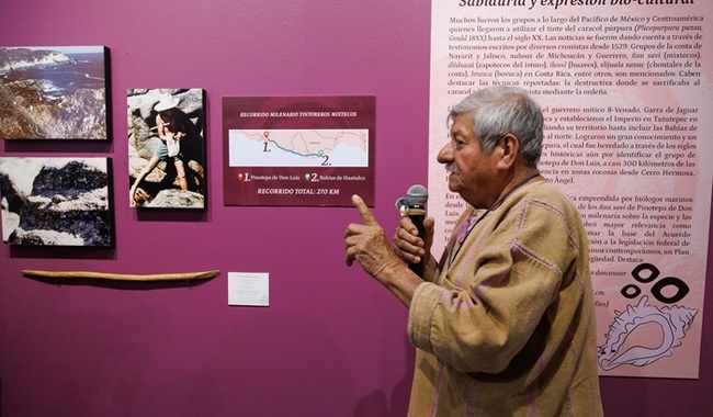 Tixinda y el caracol púrpura: 40 años de defensa cultural desde Oaxaca
