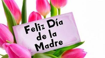 NTCD felicita a todas las madres de México en su día