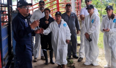 Senasica capacita a más de 70 mil personas para prevenir el gusano barrenador del ganado en el sur-sureste de México