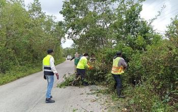 SICT activa comité de emergencia ante evolución de tormenta Alvin en Guerrero, Chiapas, Michoacán y Oaxaca
