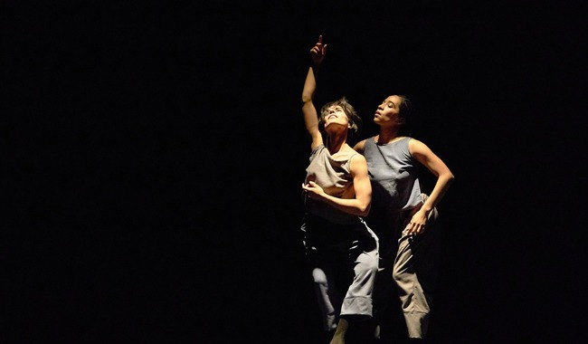 Inicia muestra De(s)generadas LGBTIQ+: danza disidente en el Centro Cultural del Bosque