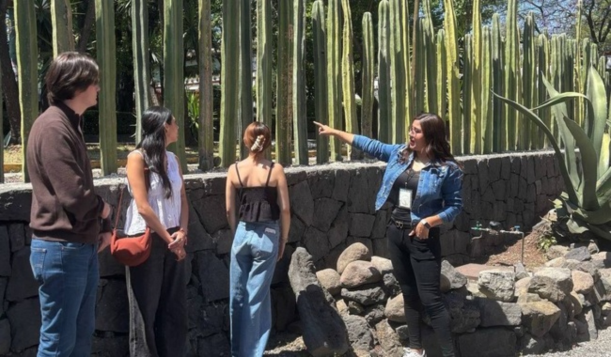 Museos del INBAL celebran el Día Mundial del Medio Ambiente con arte y conciencia ecológica