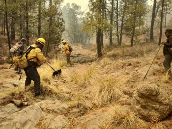Activos seis incendios forestales en Chihuahua; reporta SDR
