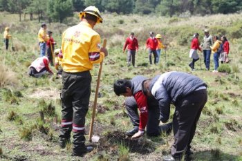 Gobierno del Estado de México reforestará con 455 mil árboles para proteger "Bosques de agua" en límite con CDMX