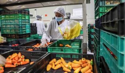 México impulsa la inocuidad alimentaria con ciencia y certificaciones en toda la cadena agroalimentaria