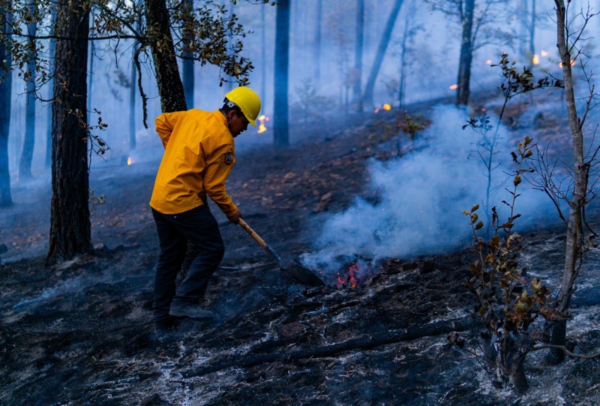 Chihuahua logra controlar 500 incendios forestales en lo que va del año