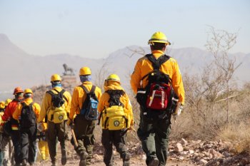 Controlan dos incendios forestales en Chihuahua; persisten ocho activos