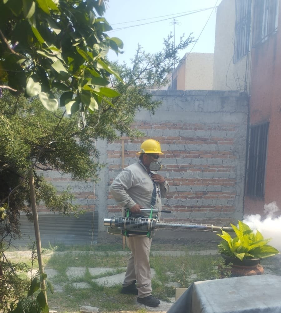 Querétaro alerta por aumento de casos de dengue y refuerza medidas preventivas