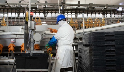 México reabre parcialmente importación de carne de ave desde Brasil, excepto Río Grande do Sul