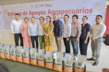 Guerrero impulsa el campo con semillas mejoradas, insumos y tecnología para 2,850 productores