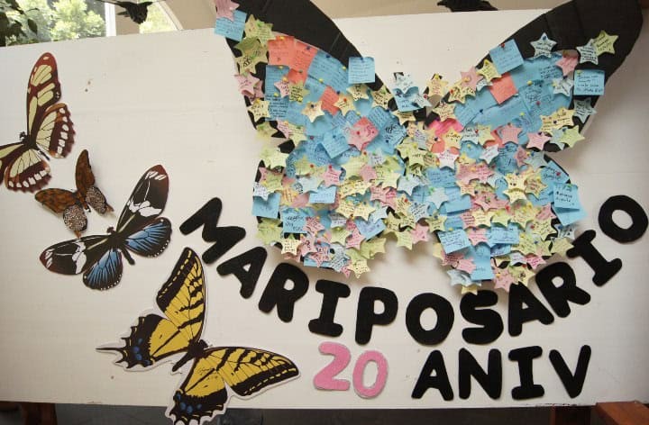 Mariposario de Chapultepec celebra 20 años con actividades gratuitas para todas las edades