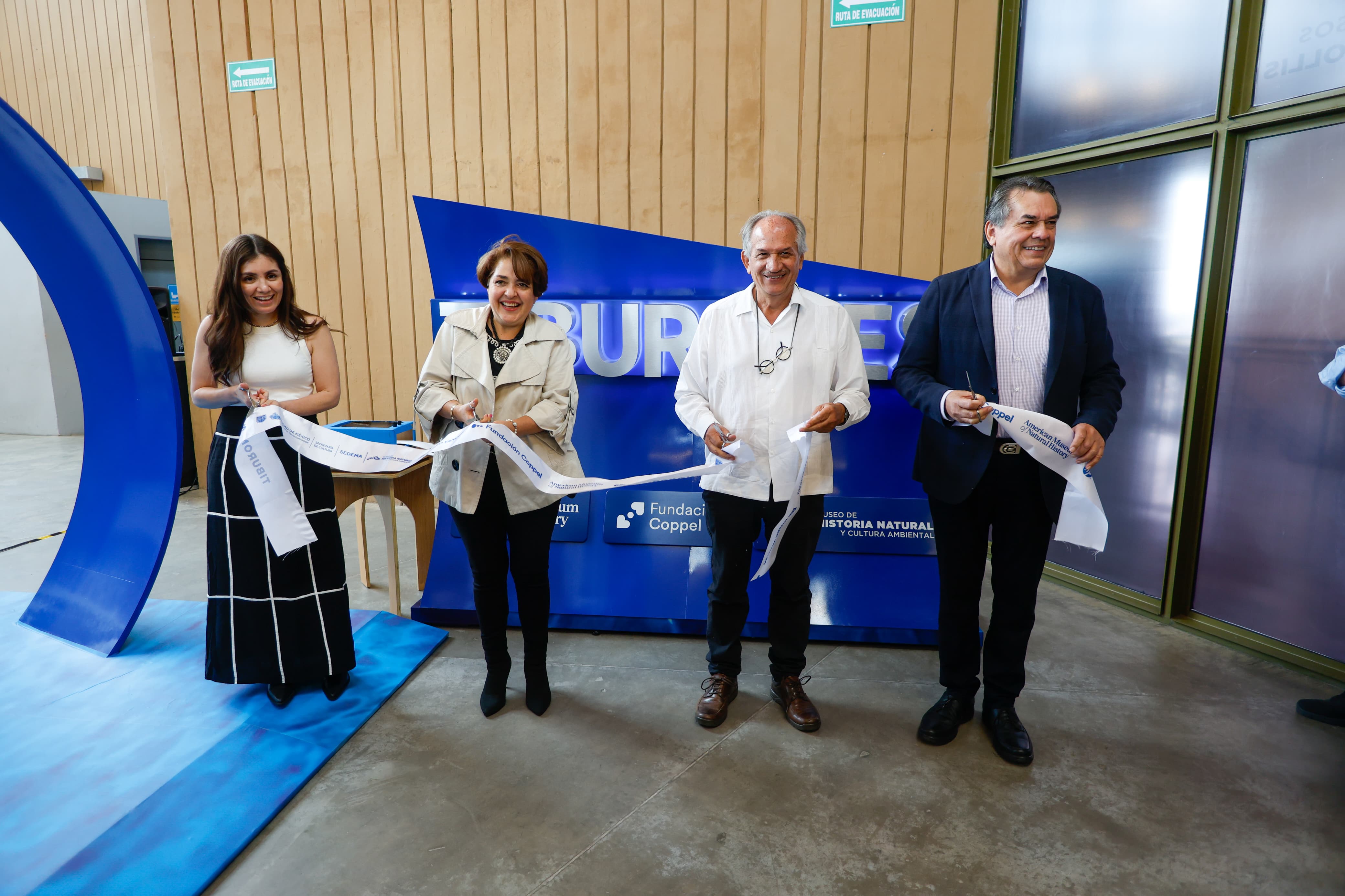 Exposición Tiburones llega al Museo Yancuic con una mirada interactiva sobre conservación marina