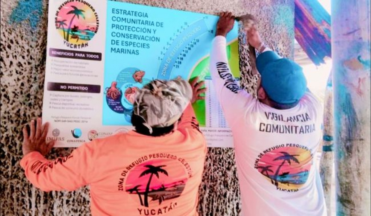 México creará 55 nuevas Zonas de Refugio Pesquero para proteger 2.2 millones de hectáreas marinas en 2026