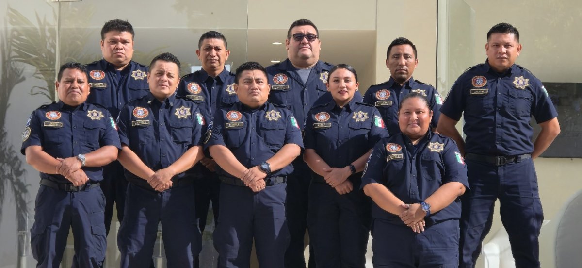 Operativos en Campeche: aseguran maquinaria, especies protegidas y clausuran giros negros