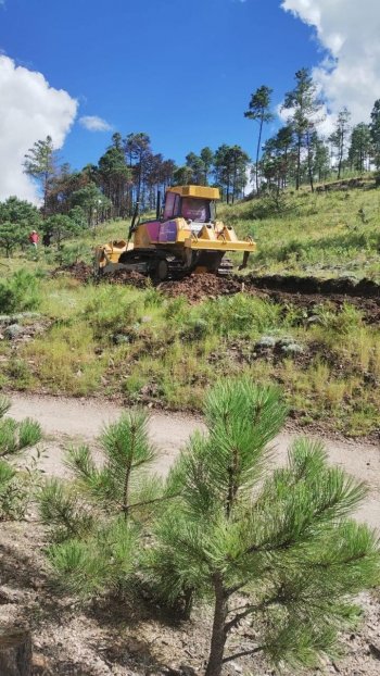 Chihuahua invierte 35.6 mdp en obras contra la desertificación y sequía