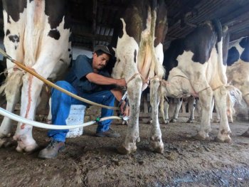 Chihuahua ofrece financiamiento accesible para productores rurales