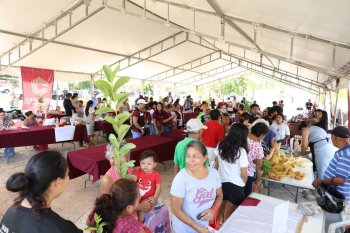 Mercadito del Jaguar impulsa economía familiar y consumo local en Campeche