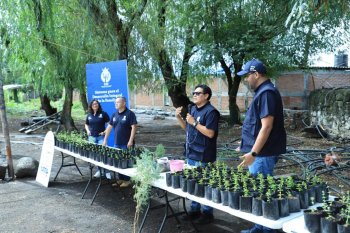 DIF Guanajuato impulsa huertos familiares y cultivo de fresas en comunidades rurales