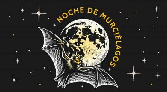 Noches de Murciélagos en CDMX: recorridos nocturnos para conocer su valor ecológico